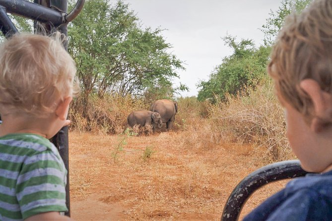 Wild Elephant Safari in Minneriya National Park - Inside the six-seat 4x4