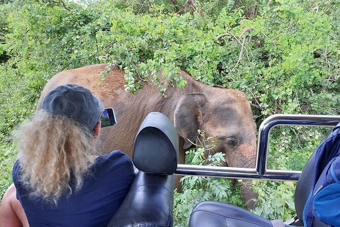 Wildlife Safari Yala National park - Key points to know before you book