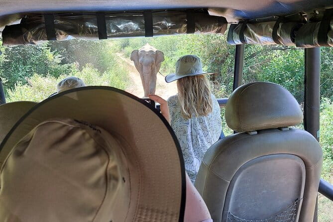 Wildlife Safari Yala National park - Three hours at Udawalawe Elephant Orphanage
