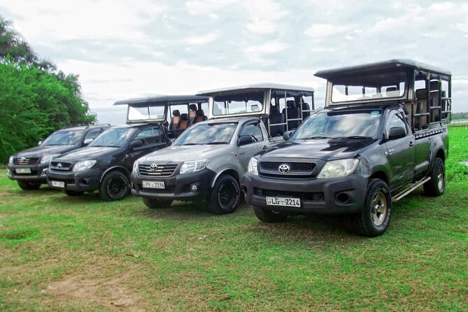 Wildlife Safari Yala National park - Who will get the most from this tour