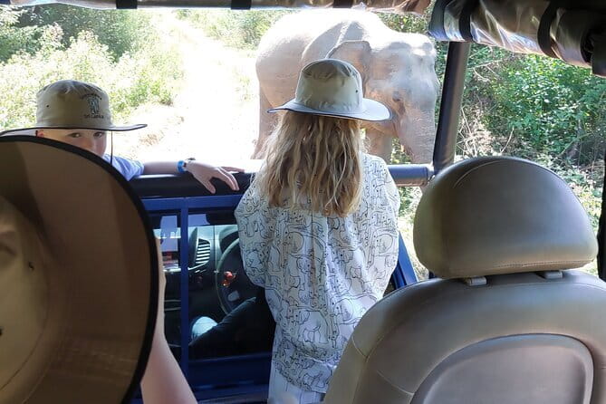 Wildlife Safari Yala National park - Traditional food and Sri Lankan farming along the way