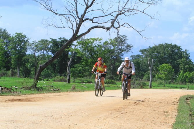 Wilpattu Half Day Safari From Anuradhapura - Four hours in the safari jeep