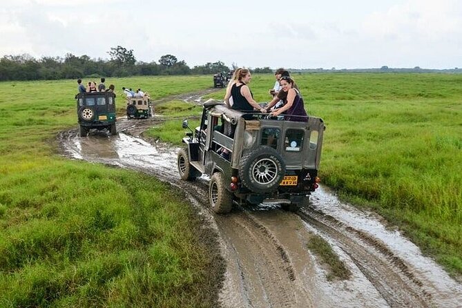Wilpattu National Park Jeep Safari from Negombo / Waikkal (All Inclusive) - Lunch with a proper Sri Lankan spread