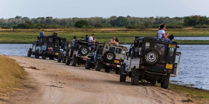Wilpattu National Park Safari Tour from Colombo - Should you book it?