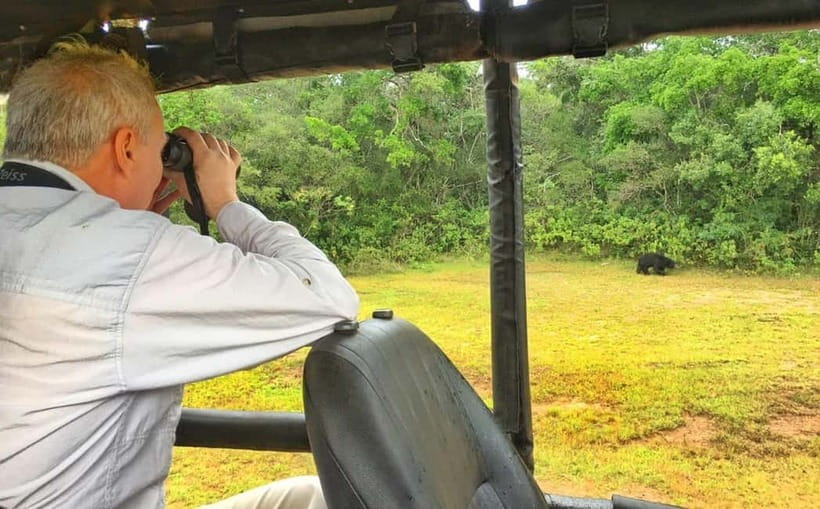 Wilpattu: Private Safari Day Trip with Lunch & Entry Fees - Lunch at Wilpattu Coco Hut Village Foods