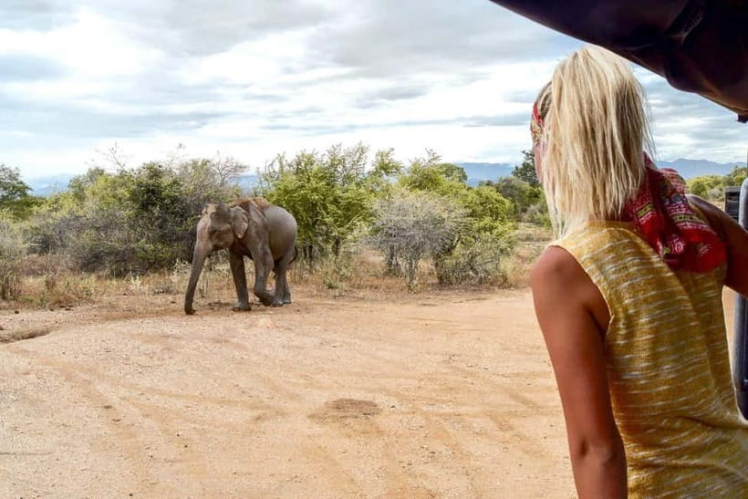 Wilpattu: Private Safari Day Trip with Lunch & Entry Fees - The early hotel pickup sets the pace