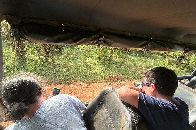 Yala 4h Jeep Safari: Guided Wildlife Experience (All Inclusive) - Is $172 per person good value?