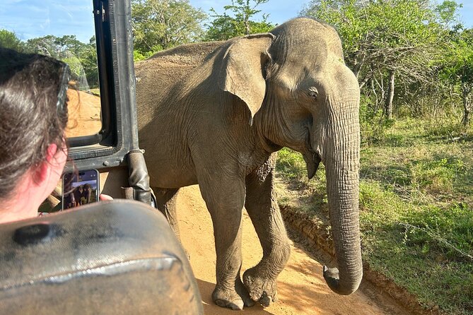Yala 4h Jeep Safari: Guided Wildlife Experience (All Inclusive) - Who should book this Yala safari?