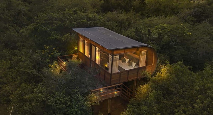 Yala: All Inclusive Overnight Glamping and Safari - The Morning Jeep Ride Through Yala National Park