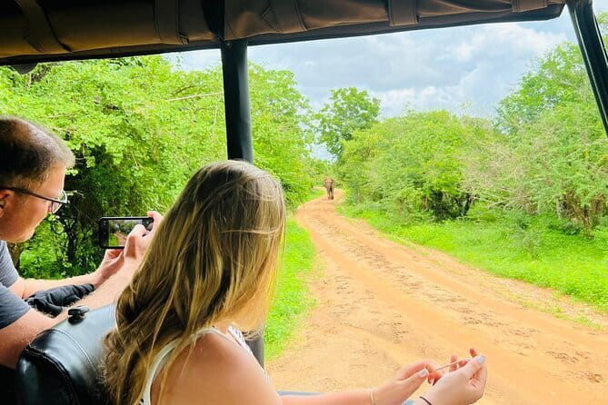 Yala Best Extended Half Day Safari By Ceylon Leopard Safari - The jeep matters on Yala’s rough tracks