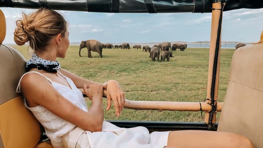 YALA BLOCK 5 & 6 (Weheragala & Lunugamwehera) Safari Tour - Choosing between the five-hour and full-day safari