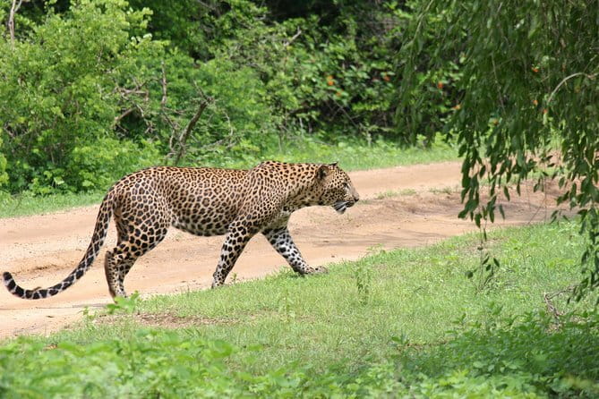 Yala Camping by Ajith Safari All Inclusive - What the $590 price really includes