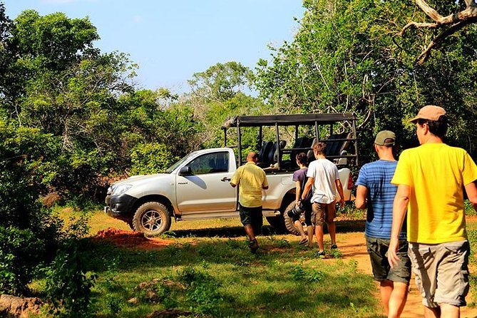 Yala Full day Leopard Safari Tour with Picnic Lunch - The early pickup and long return