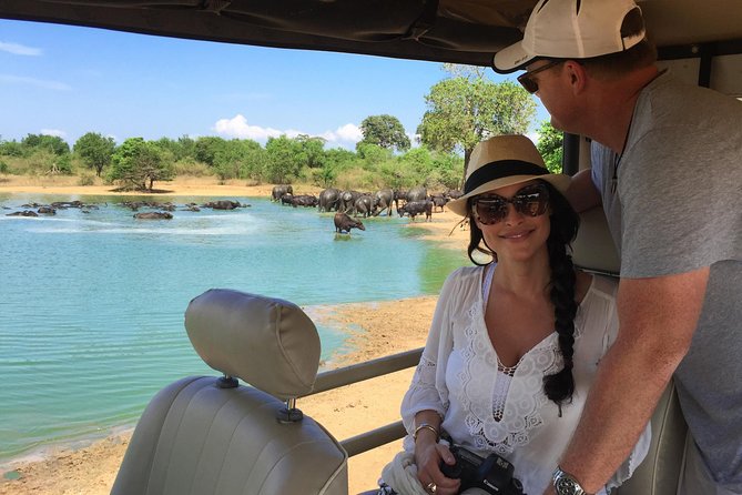 Yala Full Day Safari with Picnic Lunch - Private & All Inclusive - The 4:00 to 5:30 a.m. pickup