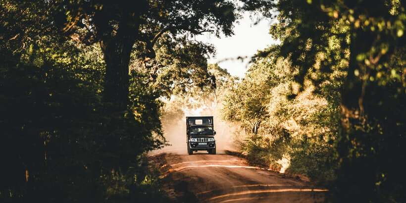 Yala: Morning or Afternoon All-inclusive Private Safari - The customized jeep and three-hour game drive