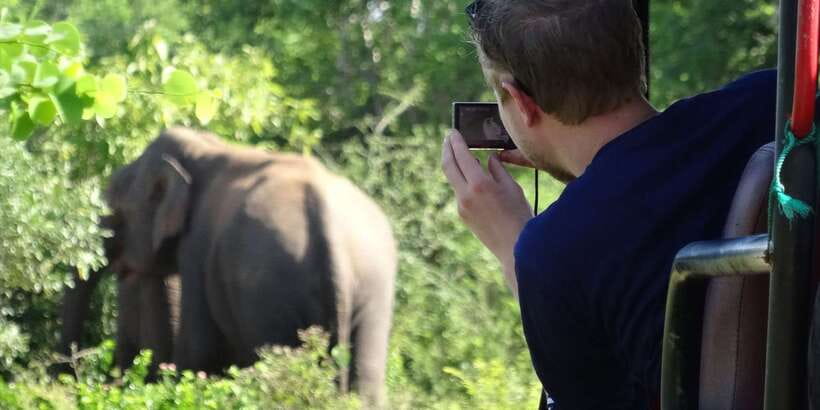 Yala National Park: All Inclusive Full-Day Safari with Lunch - Pickup from seven Sri Lankan locations