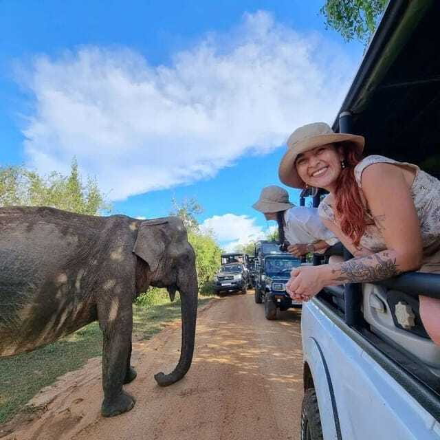 Yala National Park: All Inclusive Private Safari Day Trip - The leopard question: luck, crowds, and distance