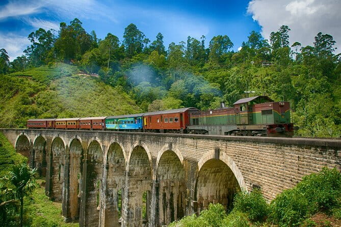 Yala National Park (Day Tour) - The price: what $265 really covers