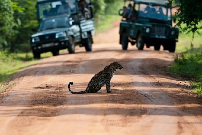 Yala National Park (Day Tour) - Leaving Kalutara in a private vehicle