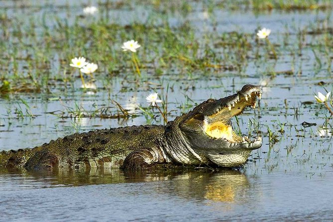 Yala National Park Full-Day Jeep Safari with Lunch - Lunch Comes After the Safari