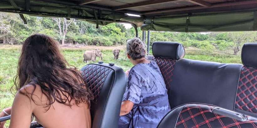 Yala National Park : Full Day Safari(04:30-18:00) - Key points before you book