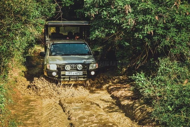 Yala National Park Guided Safaris - Is $235 per person good value?