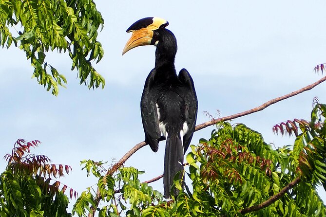 Yala National Park Half Day / Full Day Special Safari Tours - Inside the park: jungle, plains, lagoons, and coast