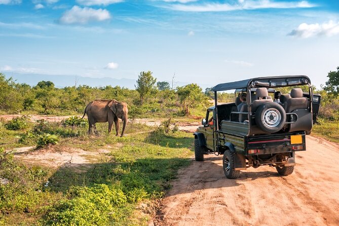 Yala National Park Half Day / Full Day Special Safari Tours - Jeep size, privacy, and comfort