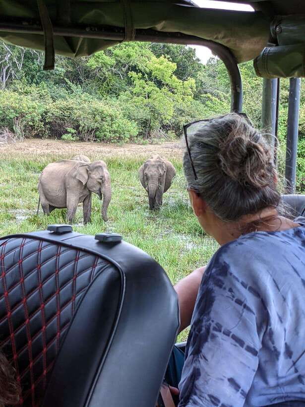 Yala National Park: Half Day or Full Day Leopard Safari Tour - Pickup from Kirinda, Kataragama, or Tissamaharama