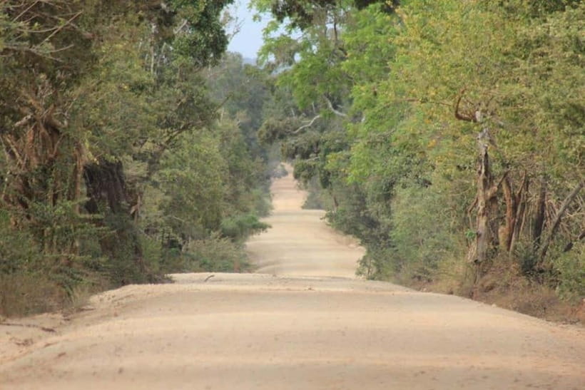 YALA National Park - HALF DAY or FULL DAY TOUR - Comfort, group size, and the road conditions