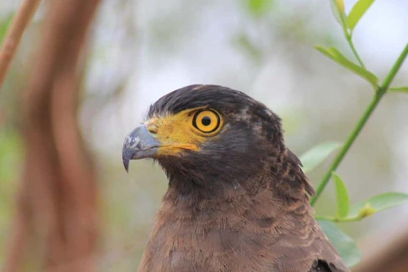 YALA National Park - HALF DAY or FULL DAY TOUR - At the main entrance: a useful pause before the drive