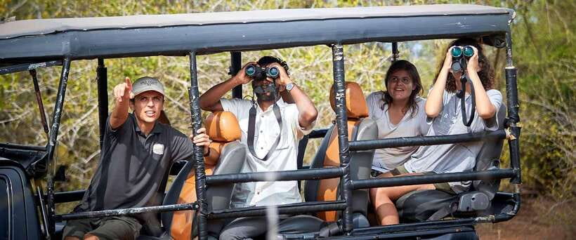 Yala National Park Jeep Safari: Leopards, Elephants & Wild - Key points to know before booking
