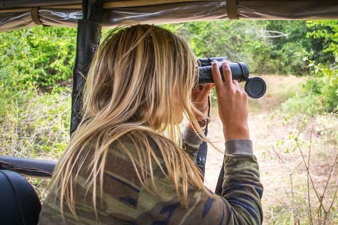 Yala National Park Leopard Safari - HALF DAY/FULL DAY TOUR - The private jeep and group size