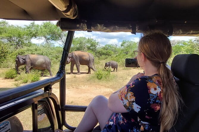 Yala National Park Private Jeep Safari From Colombo & Negombo - What you may see in Yala