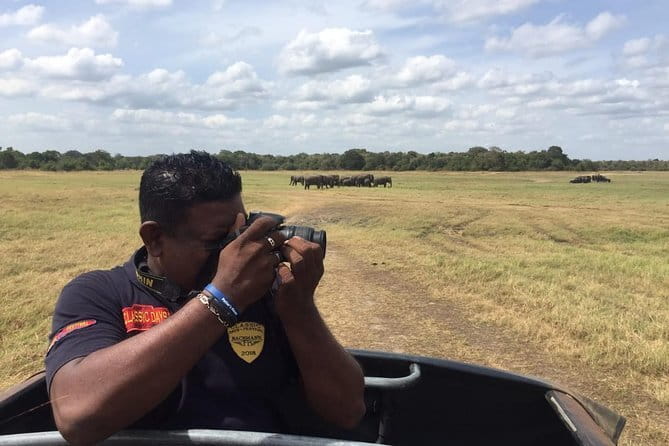 Yala National Park Private Jeep Safari From Colombo & Negombo - Is $250 per person fair?