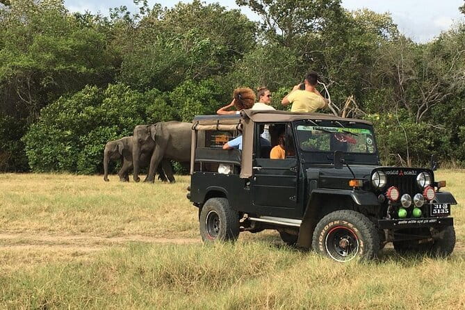Yala National Park Private Jeep Safari From Colombo & Negombo - Practical advice before you go