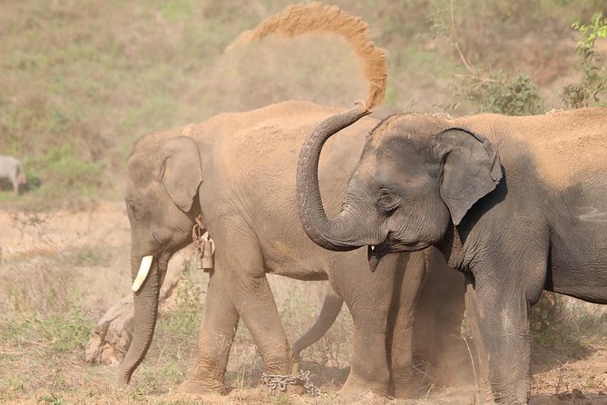 Yala National Park Private Safari (All Inclusive) From Mirissa - Key points at a glance