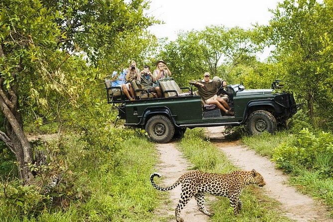 Yala National Park Private Safari (All Inclusive) From Mirissa - A private jeep, with some limits