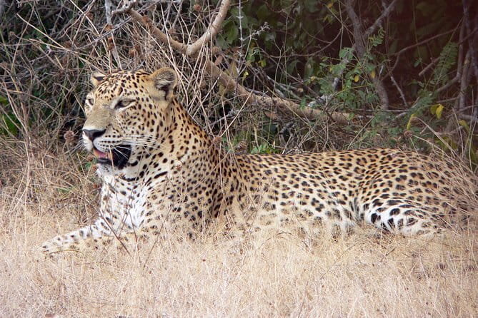 Yala National Park Safari from Hambantota Seaport - From Hambantota Port to the edge of Yala