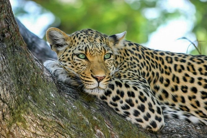Yala National Park Safari from Weligama - Entering Yala at 2:30 pm
