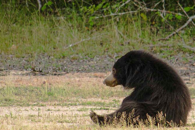 Yala National Park Safari from Weligama - The 11:00 am pickup and the long road south