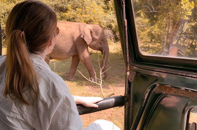 Yala National Park Safari FULLDAY and HALFDAY Expert Guided Tour - Noon lunch and the long afternoon pause