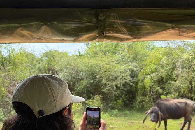 Yala National Park Safari FULLDAY and HALFDAY Expert Guided Tour - Who should choose the full-day option?