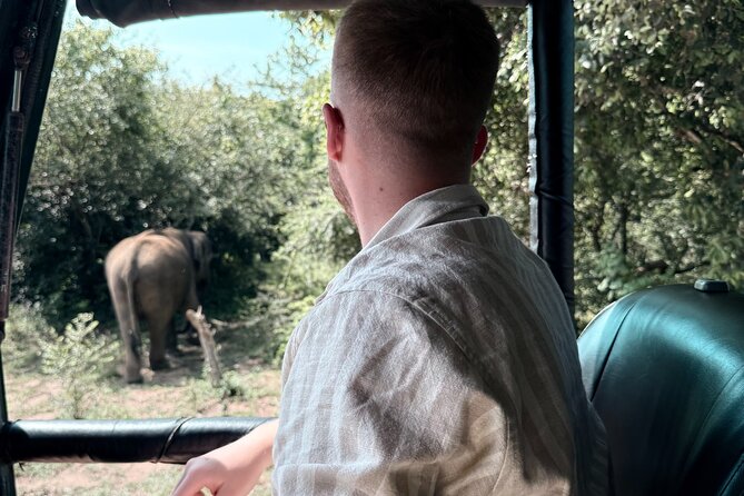 Yala National Park Safari FULLDAY and HALFDAY Expert Guided Tour - The customized 4x4 jeep and front-facing seats
