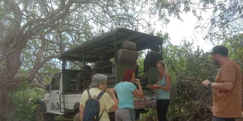 Yala National Park Sharing Safari (5 Hours) - Choosing sunrise or late afternoon