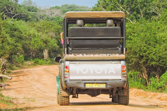 Yala National Park special Half-Day & Full-Day Safari Adventure - Food, drinks, and what to pack