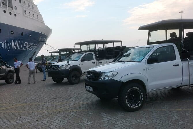 Yala National Park Tour From Hambantota Port - Searching Yala for leopards, elephants, and birds