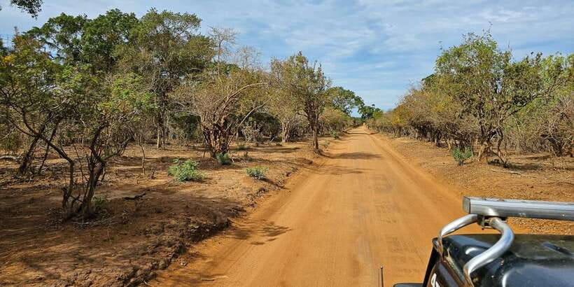 Yala National Park Wildlife safari from Mirissa - Key points before you book
