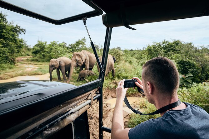 Yala National Park Wildlife Safari/ Game Drive - by Ajith Safari - Why Yala’s First and Last Hours Matter
