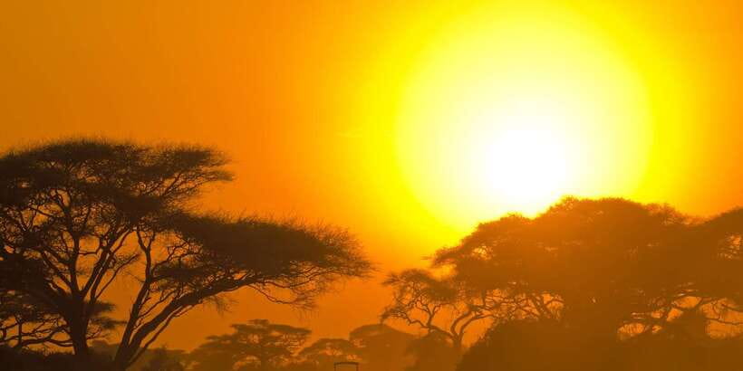 Yala Safari All-Inclusive Package with Convenient Pick Up - The long road before the wildlife begins